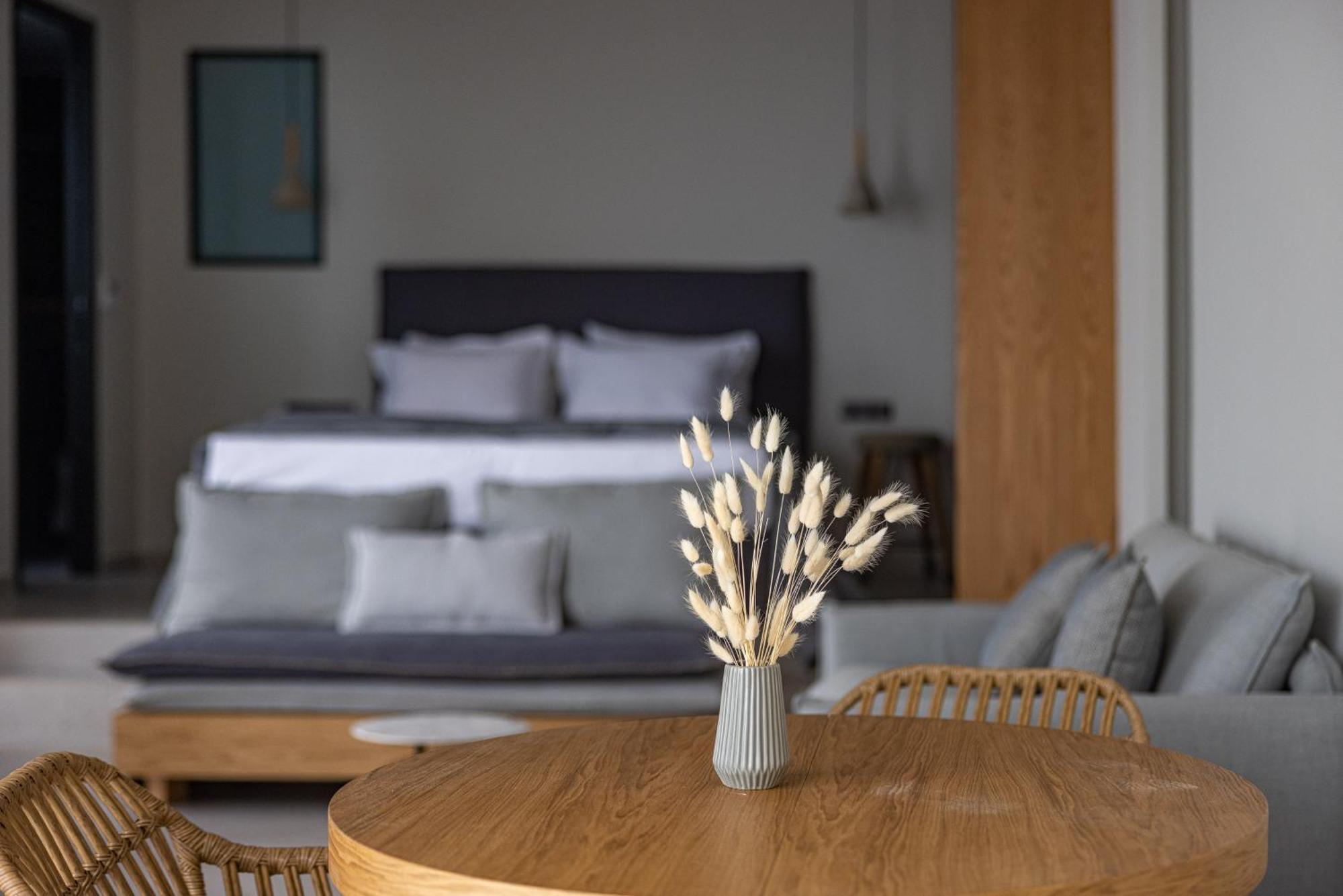 Anadeo Villas & Suites Exanthia المظهر الخارجي الصورة